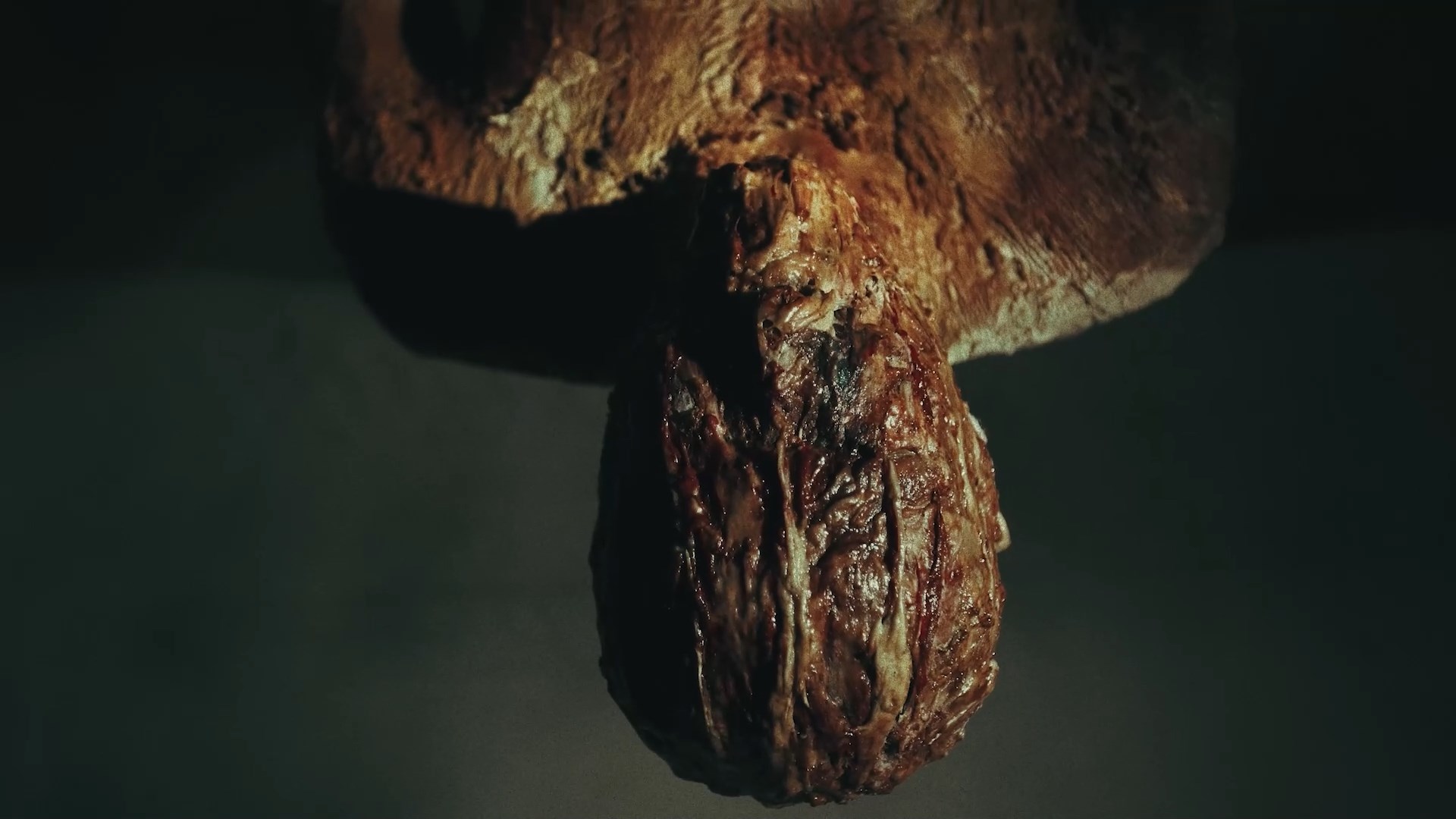 Anthology_of_Soil_HD_mp4_snapshot_00_12_10_2025_02_07_00_37_53