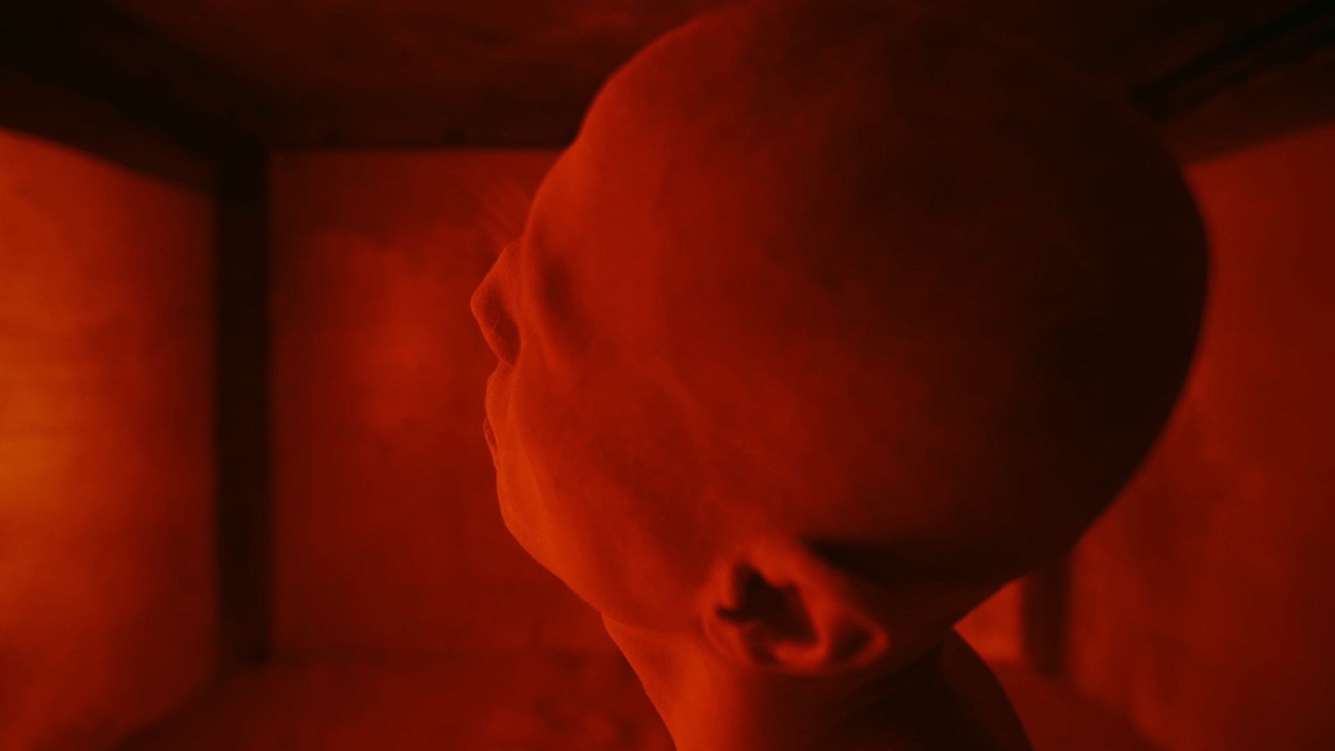 Anthology_of_Soil_HD_mp4_snapshot_00_49_18_2025_02_07_00_53_14