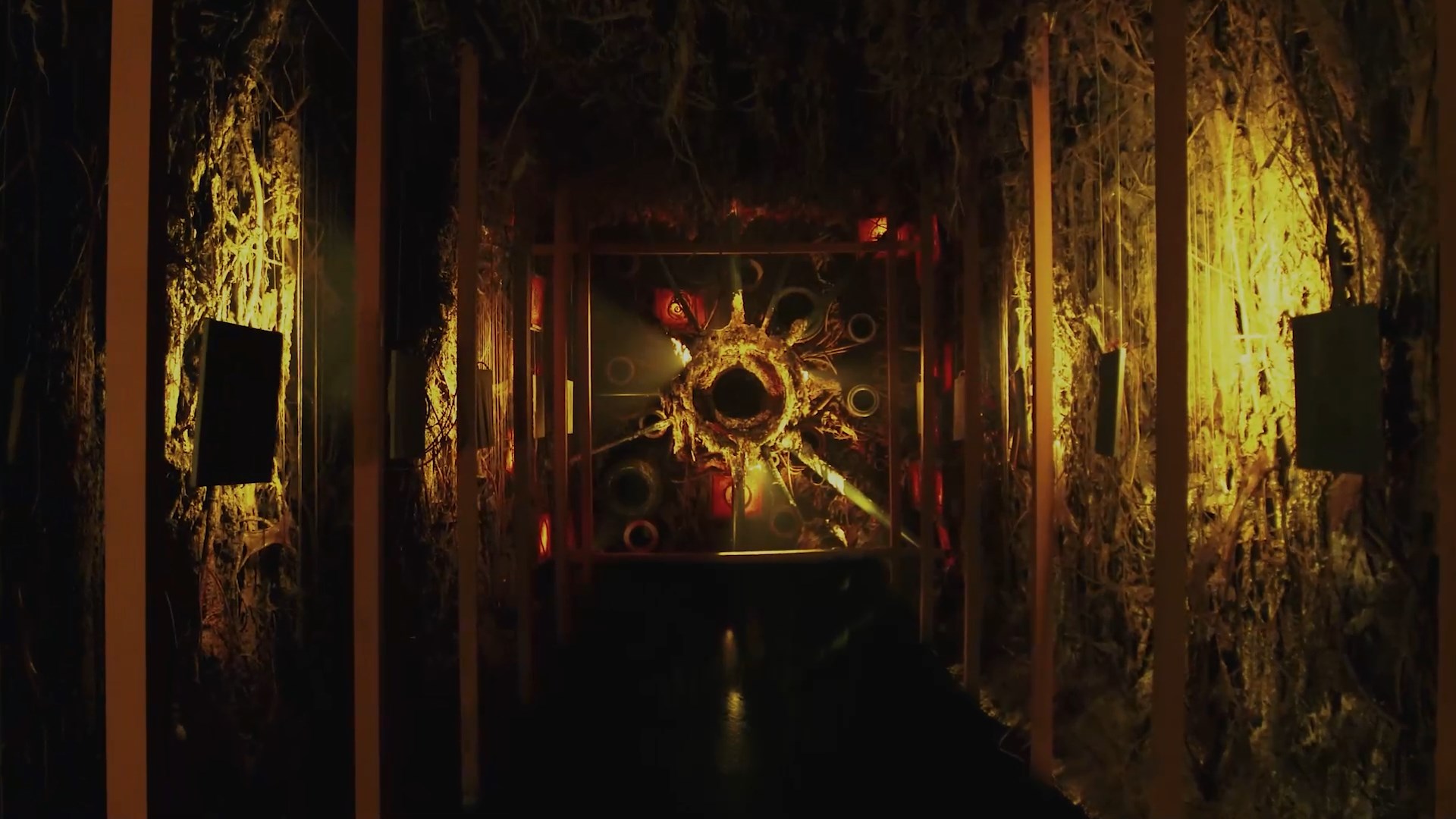 Anthology_of_Soil_HD_mp4_snapshot_01_30_27_2025_02_07_01_14_45